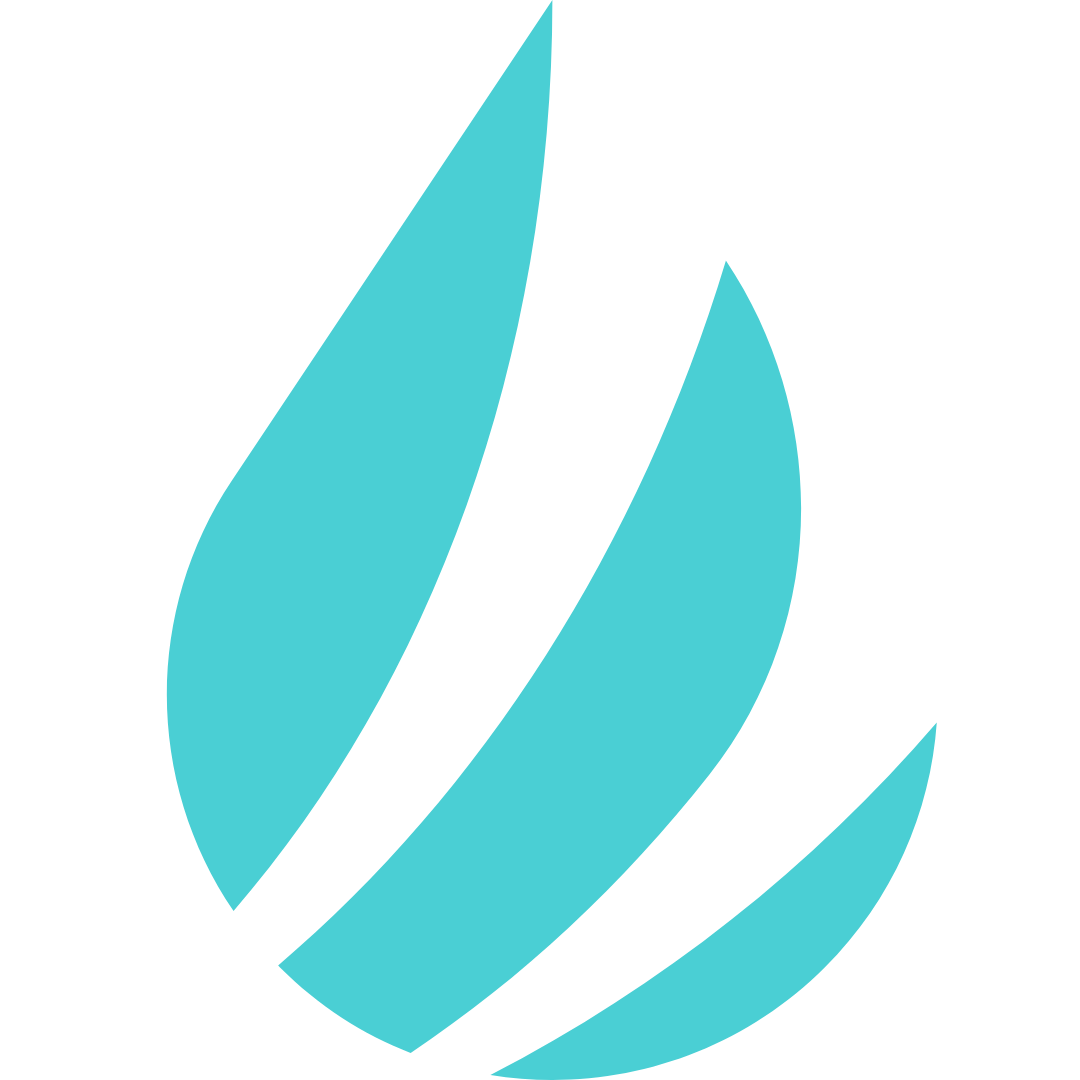 Icon Image